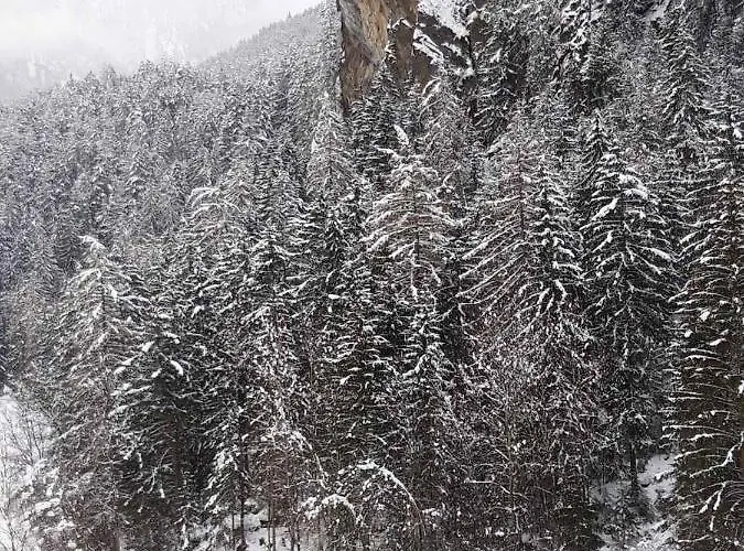 Piburg Seebichlhof Lodge Oetz